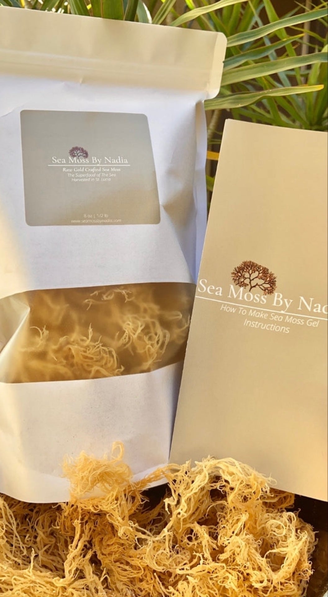 Raw Sea Moss - Sea Moss By Nadia LLC